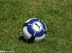 开云平台网,站勒沃库森,的赞助商,开云体育,开云体育官网,开云体育app,开云体育平台,KAIYUN,SPORTS,kaiyun登录入口