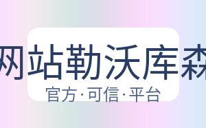 开云平台网站勒沃库森的赞助商 配图