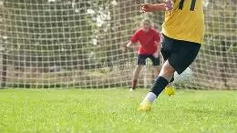 “首届长三角体育文化交流活动走进校园，冠军助力校园体育盛事”