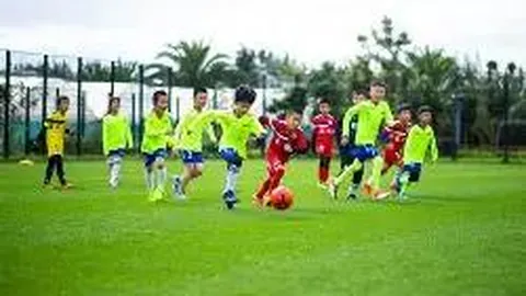 开云平台网站勒沃库森的赞助商 产品 115626 go8