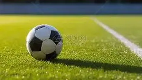 开云平台网站勒沃库森的赞助商 资讯 120649 r1y