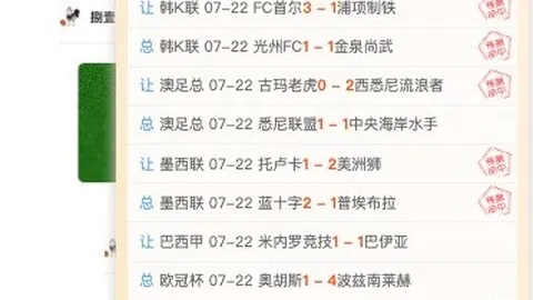 开云平台网站勒沃库森的赞助商开云平台官网突发变动引发关注