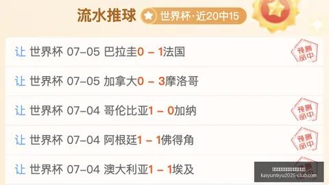 开云平台网站勒沃库森的赞助商开云平台官网突发变动引发关注