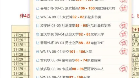 开云平台网站勒沃库森的赞助商开云平台官网突发变动引发关注