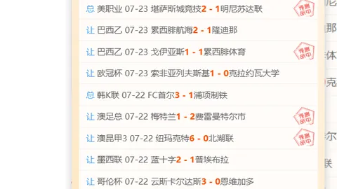 开云平台网站勒沃库森的赞助商 125536 9
