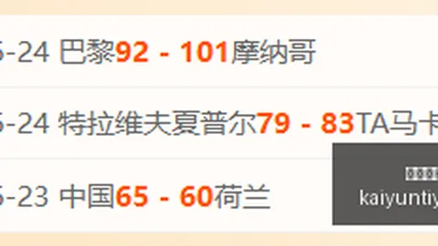 开云平台网站勒沃库森的赞助商 131909