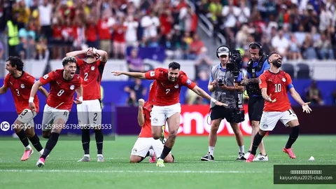 开云平台网站勒沃库森的赞助商 132322 7